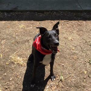 Fundraising Page: Elise Arnew